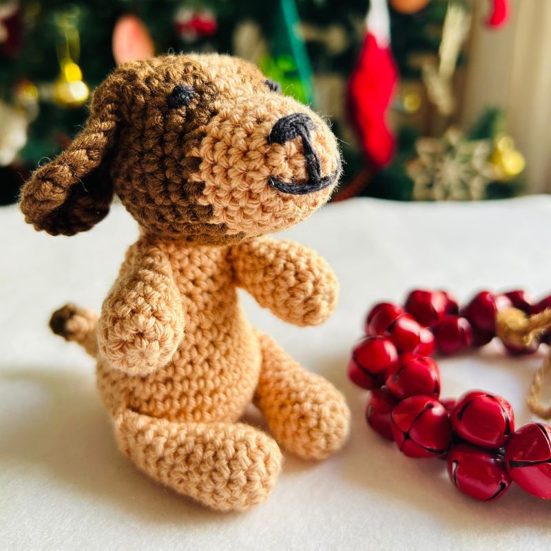 For website – puppybrownie x 800 (5)